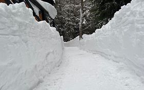 Chalet Rackova Dolina